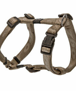Rogz Hundegeschirr L gold