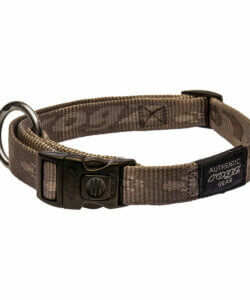 Rogz Halsband L gold
