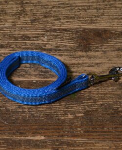 dogsmart gummierte Leine 10 Meter blau
