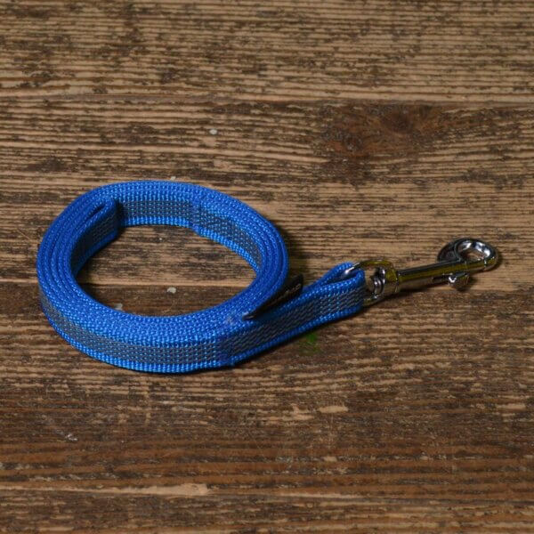 dogsmart gummierte Leine 10 Meter blau