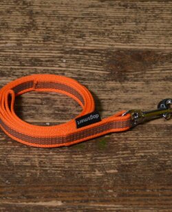 dogsmart gummierte Leine 2 Meter orange