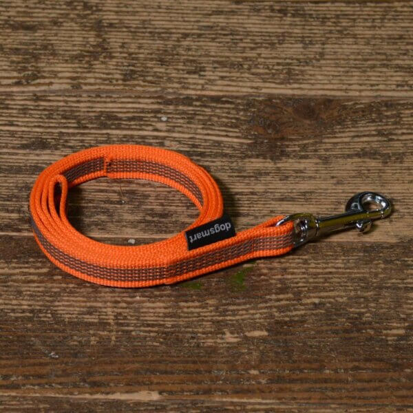 dogsmart gummierte Leine 2 Meter orange