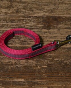 dogsmart gummierte Leine 2 Meter pink