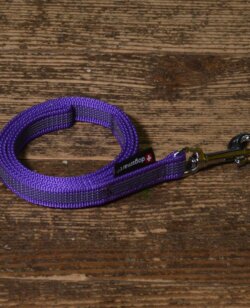 dogsmart gummierte Leine 2 Meter violett